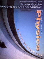(image for) Principles of Physics 3rd Edition Study Guide Student Solutions 2 (P)