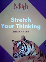 (image for) Math Advantage 5 Enrichment Stretch Your Thinking (P)