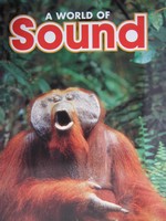 (image for) A World of Sound (P)(Big) by Nancy Leber & Robin Bromley