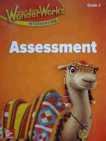 (image for) Wonder Works Intervention 3 Assessment (P)