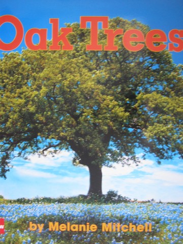 (image for) Oak Trees (P)(Big) by Melanie Mitchell