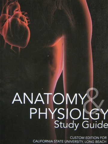 (image for) Anatomy & Physiology 9th Edition Study Guide (Spiral)