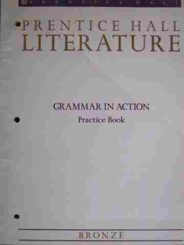 (image for) Literature Bronze Grammar in Action Practice Book (P)