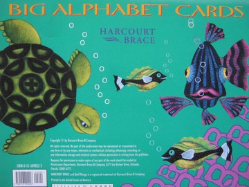 (image for) Signatures 1-3 Phonics Kits Big Alphabet Cards (Pk)