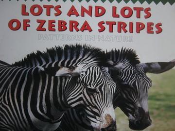 (image for) Lots & Lots of Zebra Stripes Patterns in Nature (P)(Big)