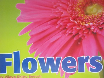 (image for) Reading Street K.2 Flowers (P)(Big) by Vijaya Khisty Bodach