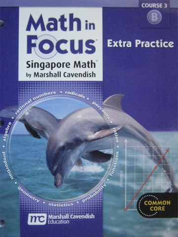 (image for) Math in Focus Course 3B Common Core Extra Practice (P) by Heng