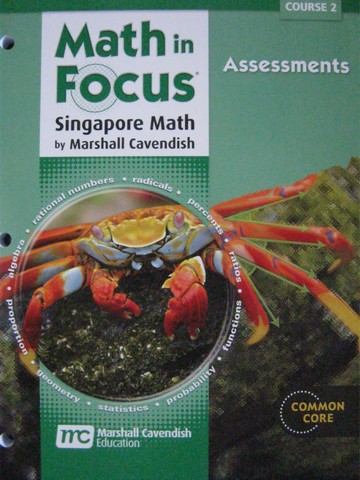 (image for) Math in Focus Course 2 Common Core Assessments (P) by Lai,