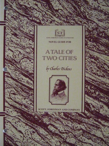 (image for) A Tale of Two Cities Novel Guide (P)