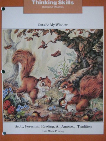 (image for) Reading 3 Outside My Window Thinking Skills BLM (P)