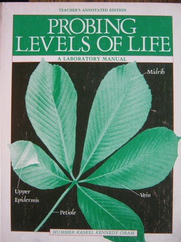 (image for) Probing Levels of Life TAE (TE)(P) by Hummer, Kaskel, Kennedy