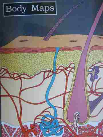 (image for) Informazing! Body Maps (P)(Big) by David Drew