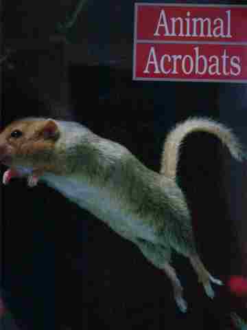 (image for) Informazing! Animal Acrobats (P)(Big) by David Drew