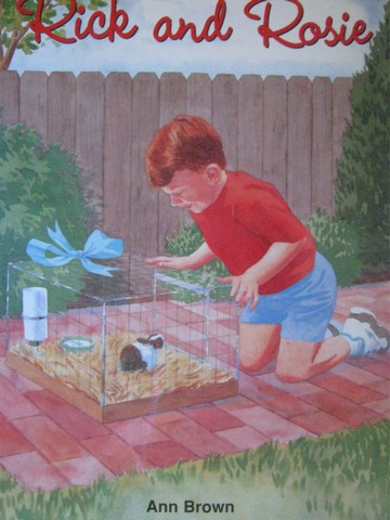 (image for) Phonics & Friends Level A Rick & Rosie (P)(Big) by Ann Brown