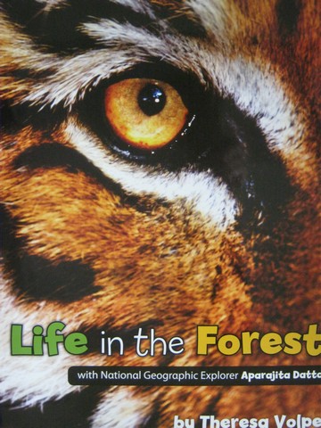 (image for) Life in the Forest (P)(Big) by Theresa Volpe