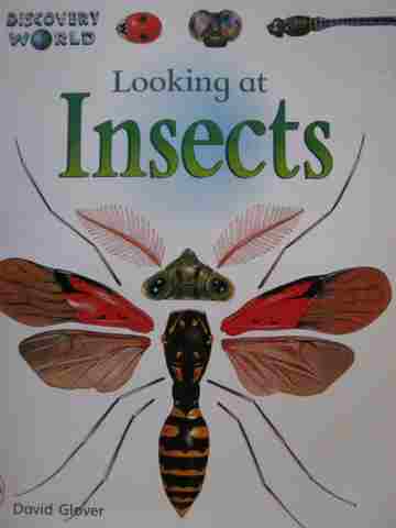 (image for) Discovery World Red Looking at Insects (P)(Big) by David Glover