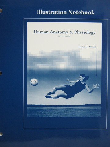 (image for) Human Anatomy & Physiology 5th Edition Illustration Notebook (P)