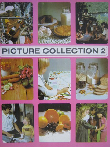 (image for) Picture Collection 2 (Spiral) by Nancy Sokol Green