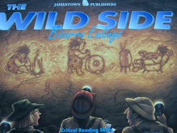 (image for) Wild Side Bizarre Endings (P) by Henry & Melissa Billings