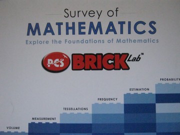 (image for) PCS BrickLab Survey of Mathematics (P)