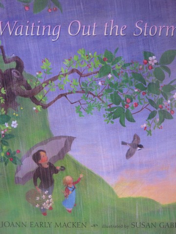 (image for) Waiting Out the Storm (P)(Big) by Joann Early Macken