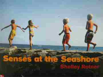 (image for) Senses at the Seashore K (P)(Big) by Shelley Rotner