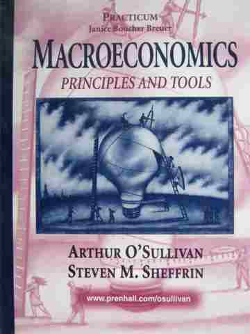 (image for) Macroeconomics Principles & Tools Practicum (P) by Breuer