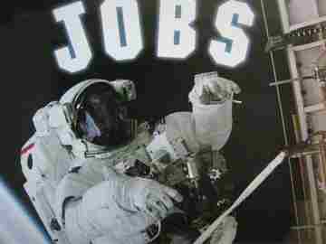 (image for) Jobs (P)(Big) by Susan Canizares & Betsey Chessen