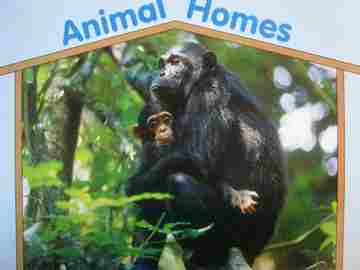 (image for) Animal Homes (P)(Big) by Betsey Chessen & Pamela Chanko