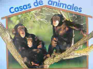 (image for) Casas de animales (P)(Big) by Betsey Chessen & Pamela Chanko