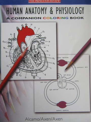 (image for) Human Anatomy & Physiology A Companion Coloring Book (P)