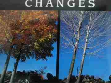(image for) Changes (P)(Big) by Marjorie N Allen & Shelley Rotner