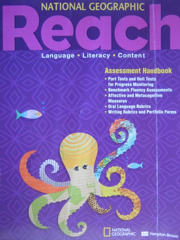(image for) Reach Level C Assessment Handbook (P)