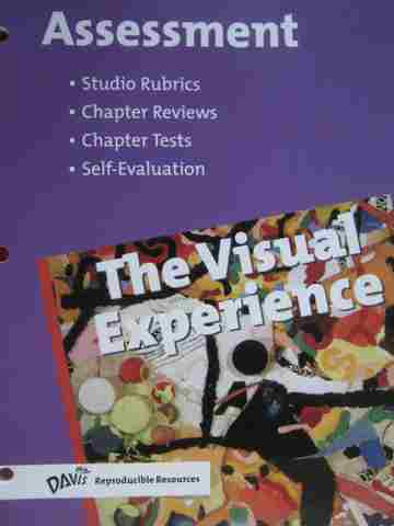 (image for) Visual Experience Assessment (P)