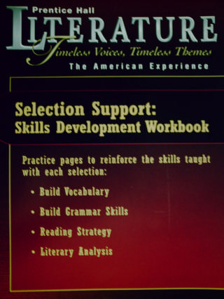 (image for) Literature American Experience Skills Development Workbook (P)