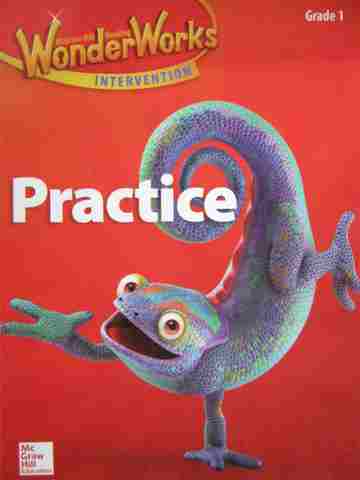(image for) Wonder Works Intervention 1 Practice (P)