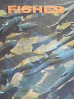 (image for) Fishes (P) by Bertha Morris Parker